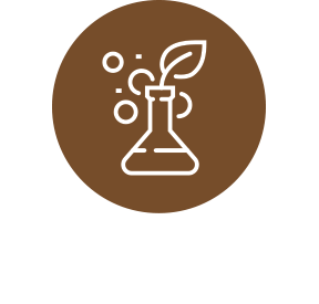 IPG Testing