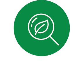 Seed Certification