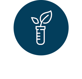 Seed Testing